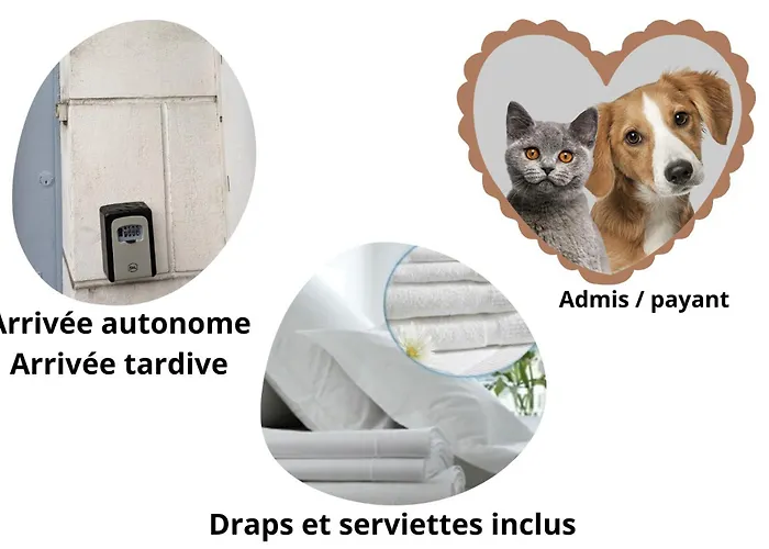 Maison Lefort - 10min Futuroscope Сasa de vacaciones Beaumont (Vienne)